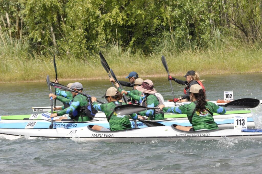 regata3
